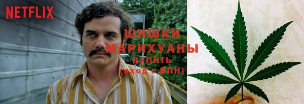 сатива Хадыженск
