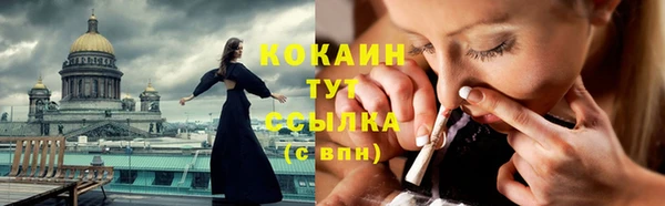 мдпв Фурманов