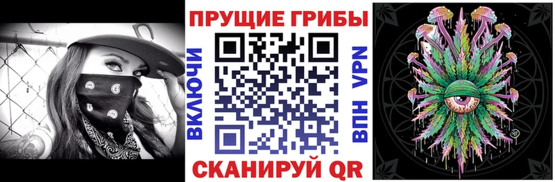 Галлюциногенные грибы ЛСД Пойковский